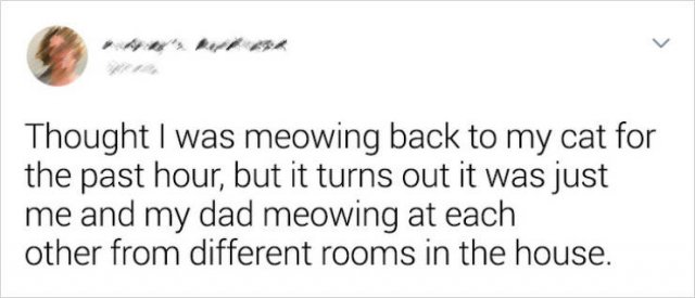 Family Jokes (21 pics)