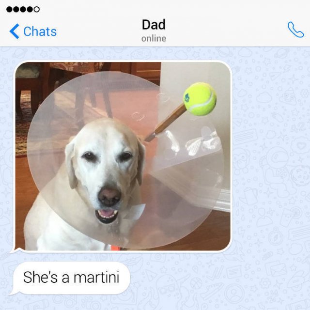 Family Jokes (21 pics)
