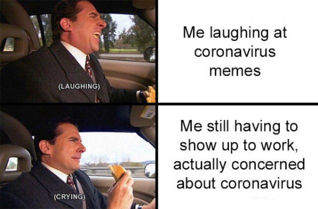Quarantine Memes (40 pics)