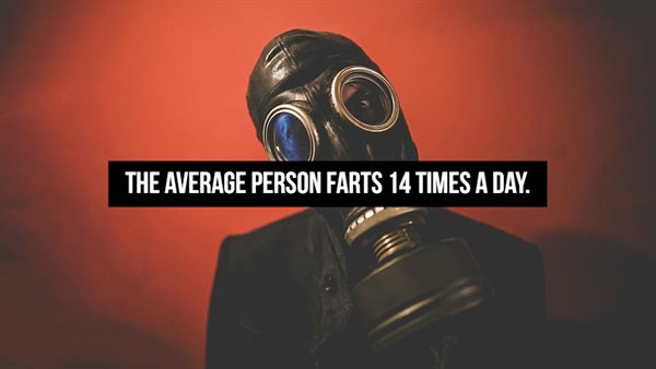 Fart Facts (20 pics)