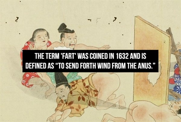 Fart Facts (20 pics)