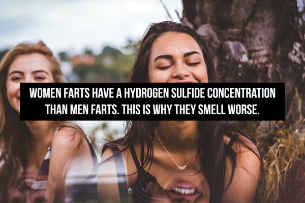 Fart Facts (20 pics)