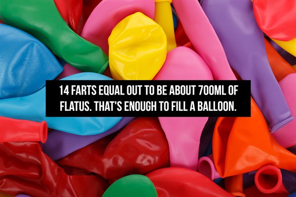 Fart Facts (20 pics)