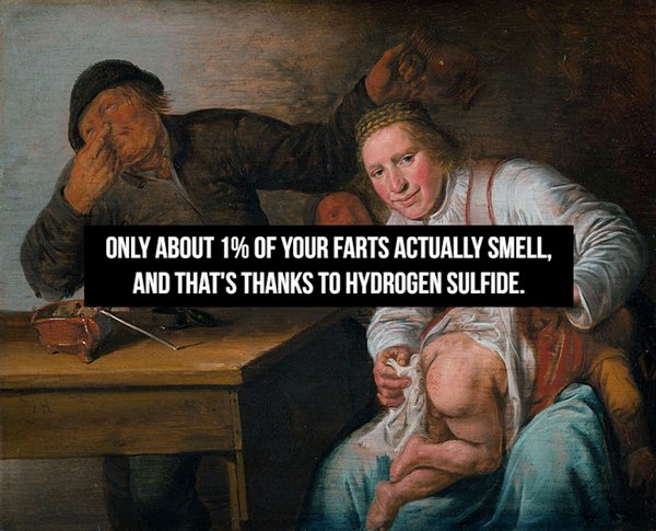 Fart Facts (20 pics)