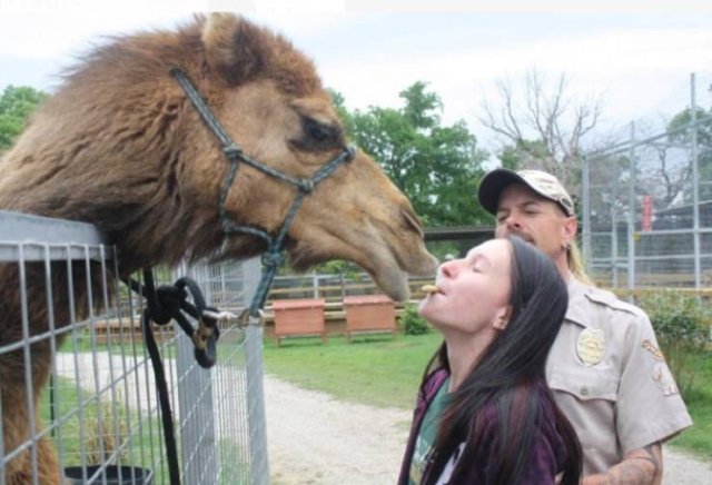 Acid Picdump. Part 2 (97 pics)