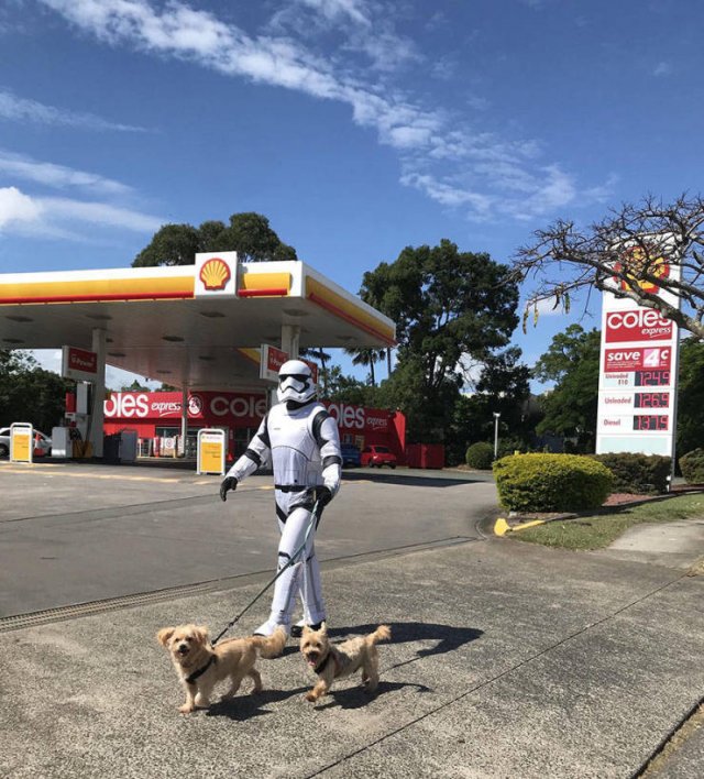 Acid Picdump. Part 2 (97 pics)