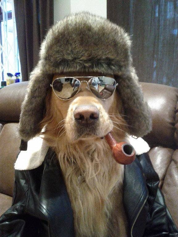 Acid Picdump. Part 2 (97 pics)