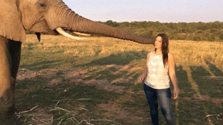 Acid Gifdump, April 8 (25 gifs)