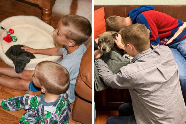 Wholesome Photos (16 pics)