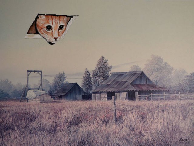 Weird Thrift Store Paintings (22 pics)