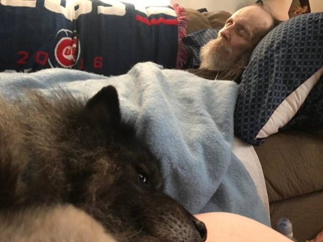 Wholesome Photos (16 pics)