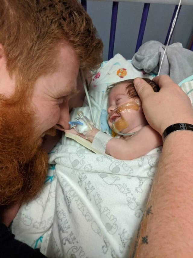 Wholesome Photos (16 pics)