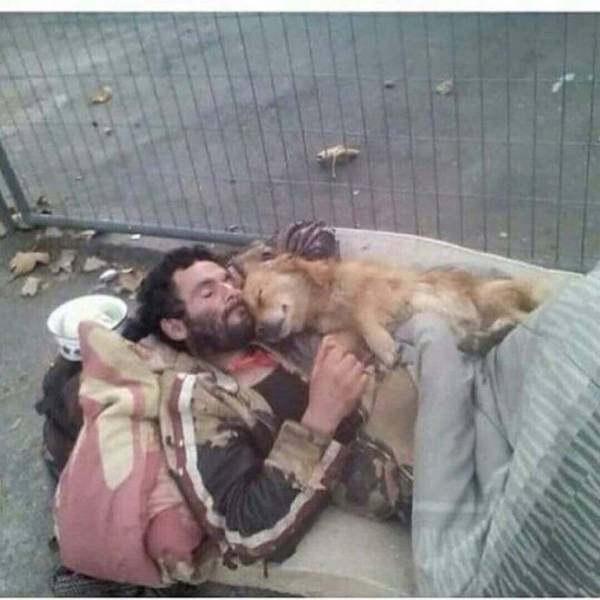 Wholesome Photos (16 pics)
