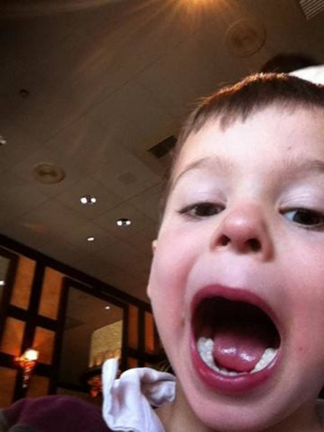 Wholesome Photos (16 pics)