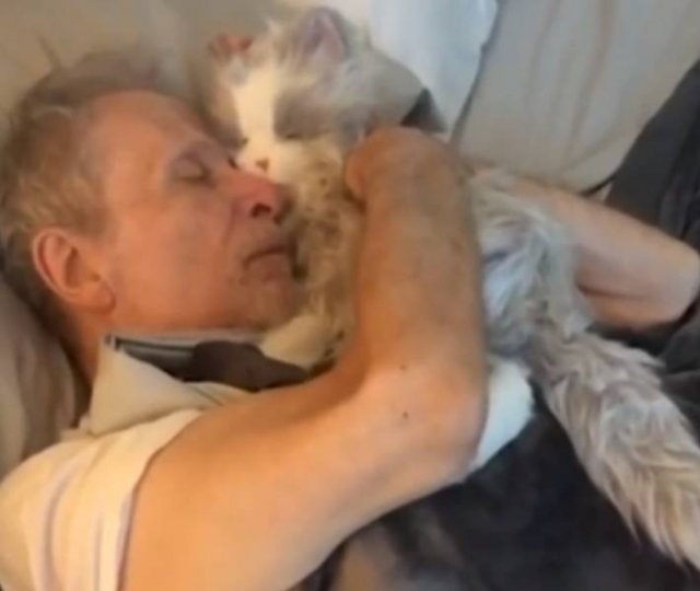 Wholesome Photos (16 pics)