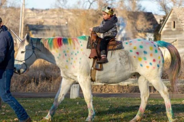 Wholesome Photos (16 pics)