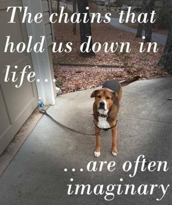 Pictures For Your Motivation (25 pics)