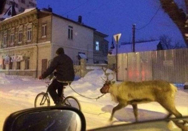 Only In Canada (25 pics)