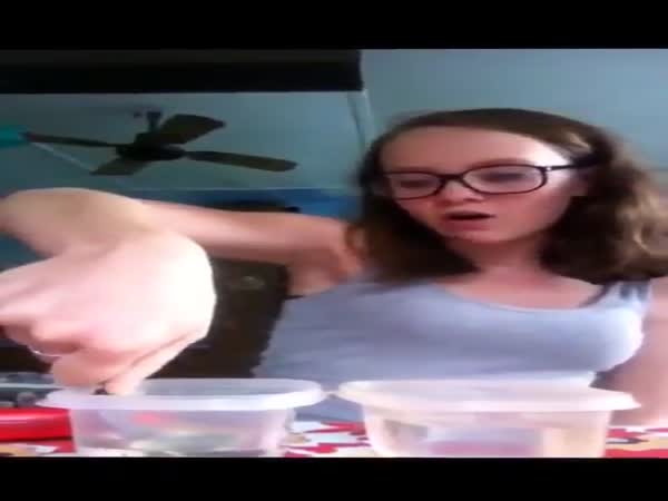 Don't Try This At Home