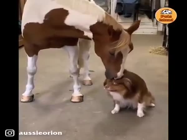 Cuteness Of The Day