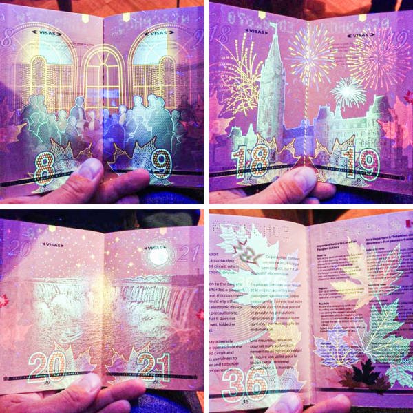Everything Changes Under Ultraviolet Light (17 pics) Everything Changes Under Ultraviolet Light (17 pics)