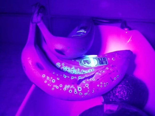 Everything Changes Under Ultraviolet Light (17 pics) Everything Changes Under Ultraviolet Light (17 pics)