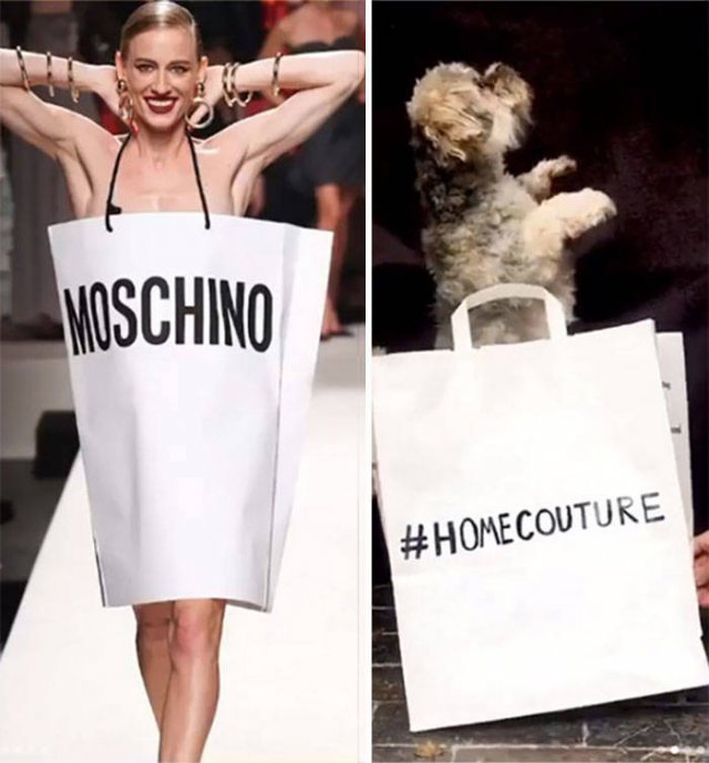 Quarantine High Fashion (31 pics)