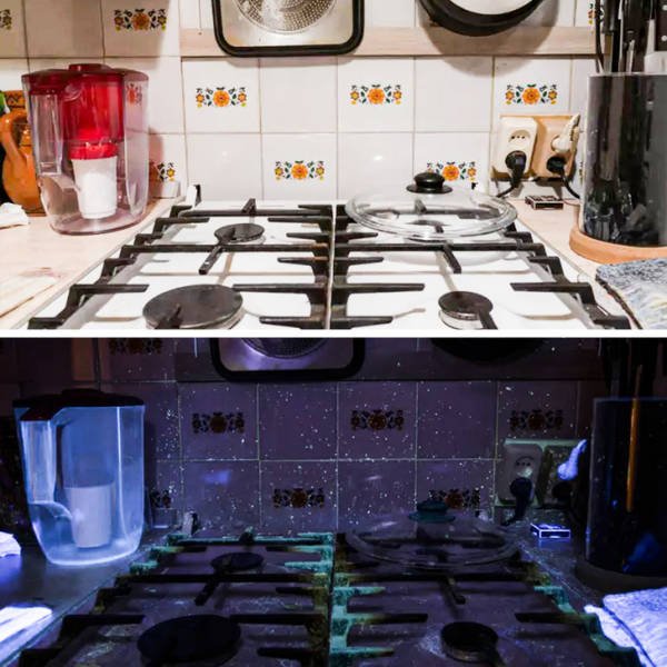 Everything Changes Under Ultraviolet Light (17 pics) Everything Changes Under Ultraviolet Light (17 pics)