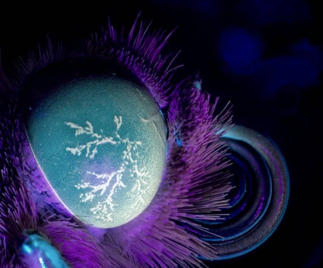 Everything Changes Under Ultraviolet Light (17 pics) Everything Changes Under Ultraviolet Light (17 pics)