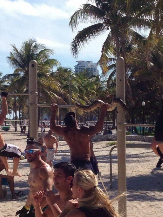 Explanation Needed (57 pics)