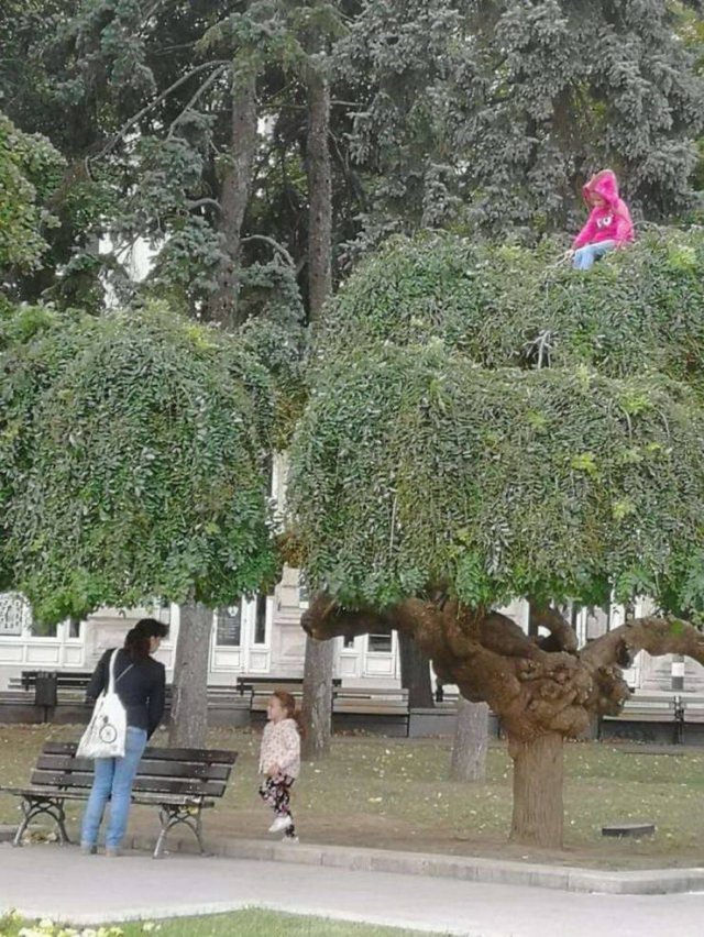 Explanation Needed (57 pics)