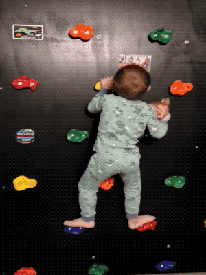 Wholesome GIFs (25 gifs)