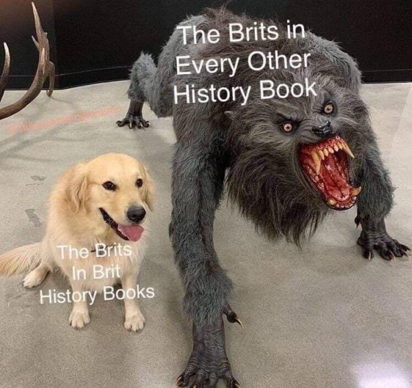 Historical Memes (36 pics)