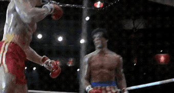 Wholesome GIFs (25 gifs)