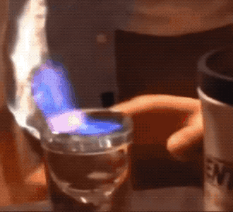 Wholesome GIFs (25 gifs)