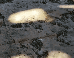 Wholesome GIFs (25 gifs)