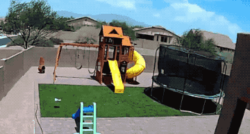 Wholesome GIFs (25 gifs)
