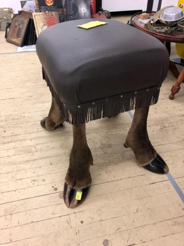 Thrift Shop Treasures (32 pics)