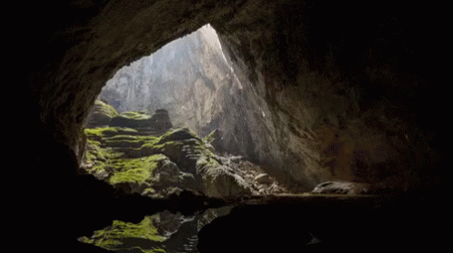 Wholesome GIFs (25 gifs)