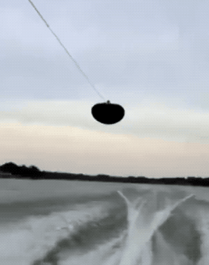 Wholesome GIFs (25 gifs)