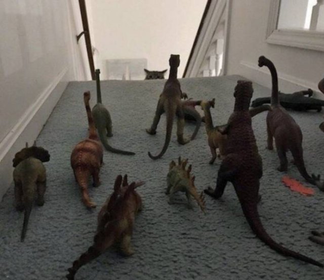 Acid Picdump. Part 2 (97 pics)