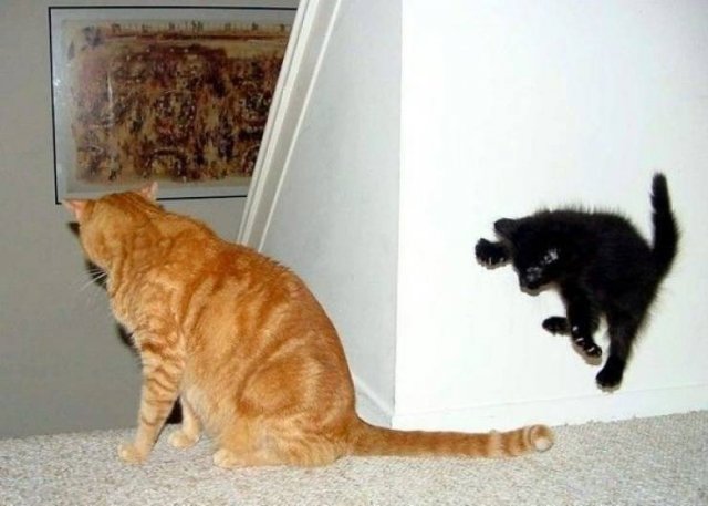 Acid Picdump. Part 2 (97 pics)
