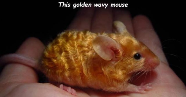 Acid Picdump. Part 2 (97 pics)