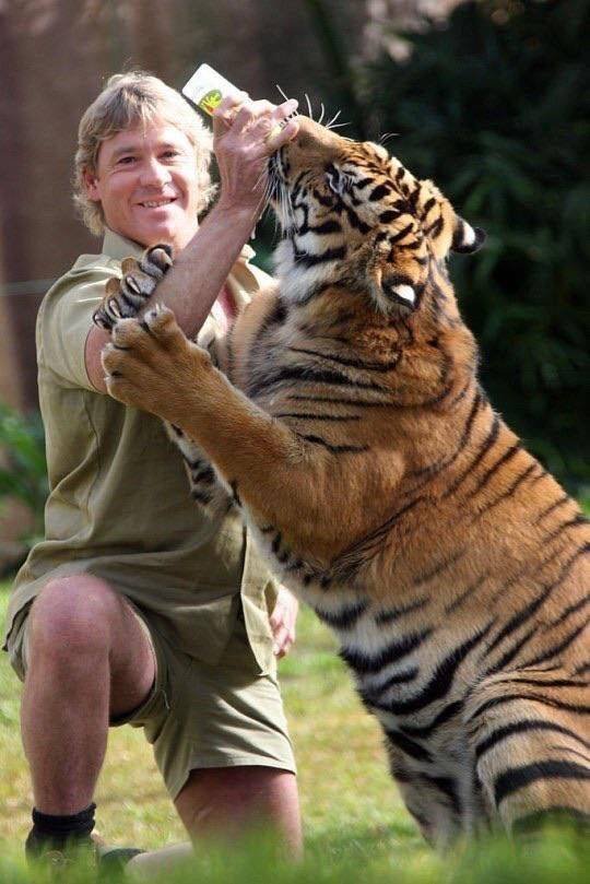 Acid Picdump. Part 2 (97 pics)