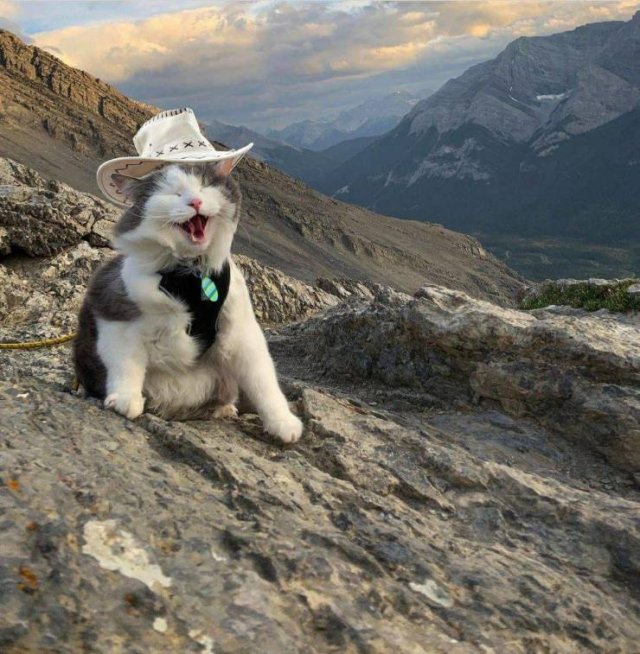 Acid Picdump. Part 2 (97 pics)