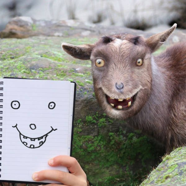 Dad Turns His Son's Doodles Into Art (21 pics)