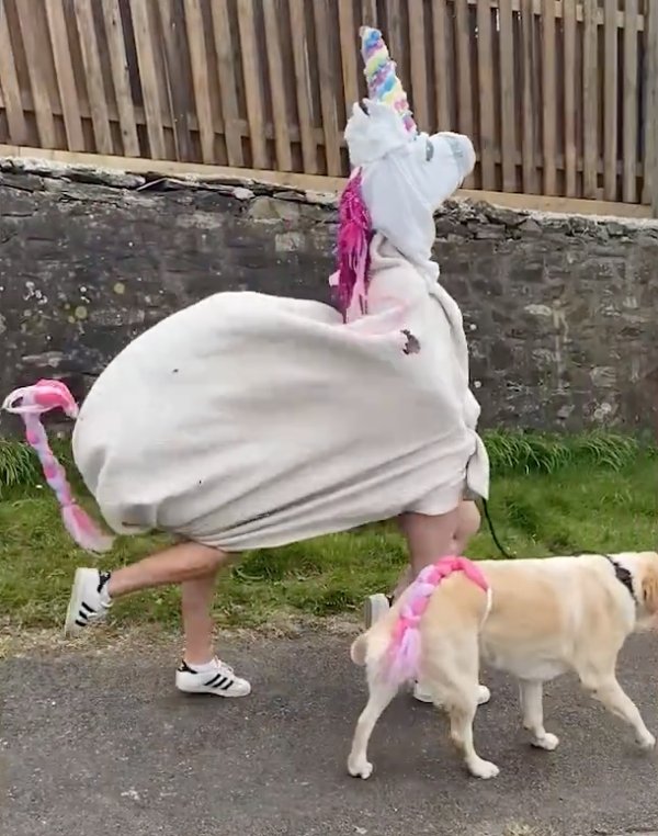 Hilarious Dog-Walking Costumes By Clare Meardon (25 pics)