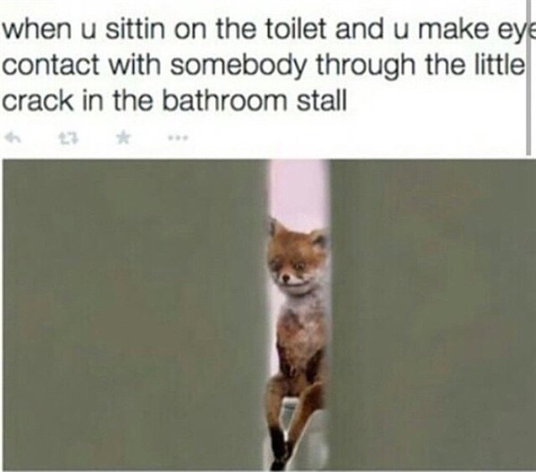 Ridiculous Memes (27 pics)