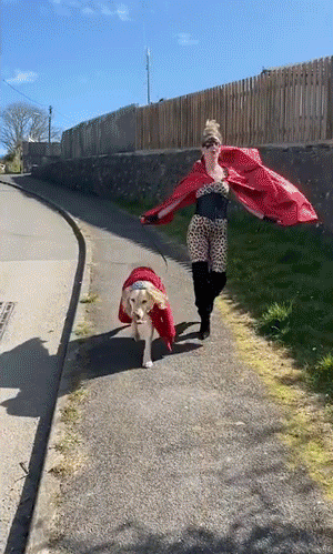 Hilarious Dog-Walking Costumes By Clare Meardon (25 pics)