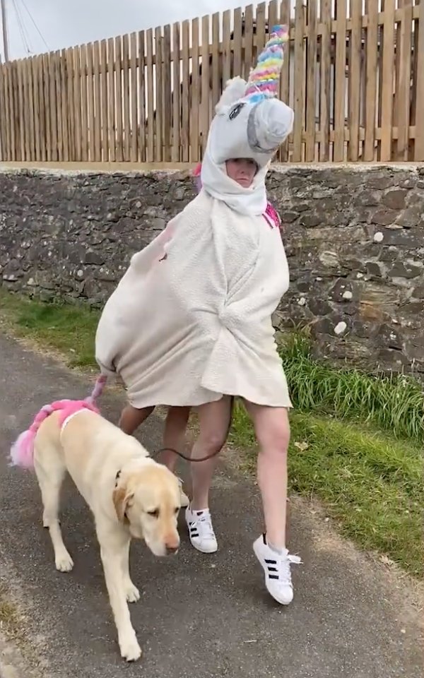 Hilarious Dog-Walking Costumes By Clare Meardon (25 pics)